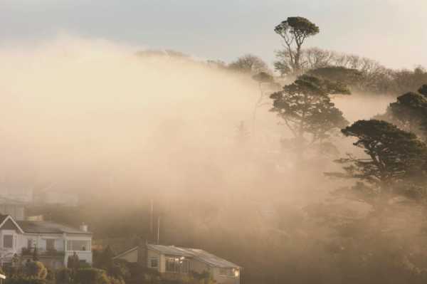 21 January 2020 - 08-49-38 
These morning mists along the river Dart are  rather beautiful. Especially if you're not a resident of Kingswear.